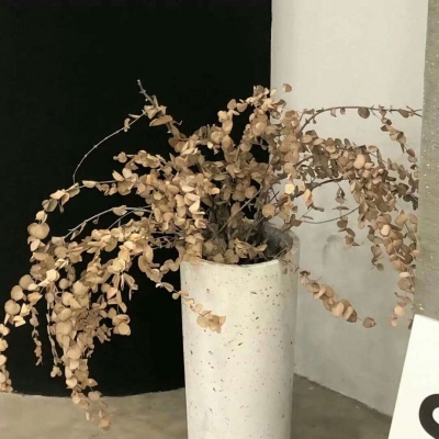 Furry插画氛围灵感福瑞交流群